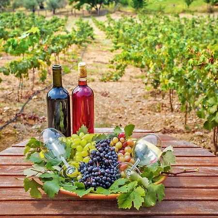 Siraino - Ktima Skopelos