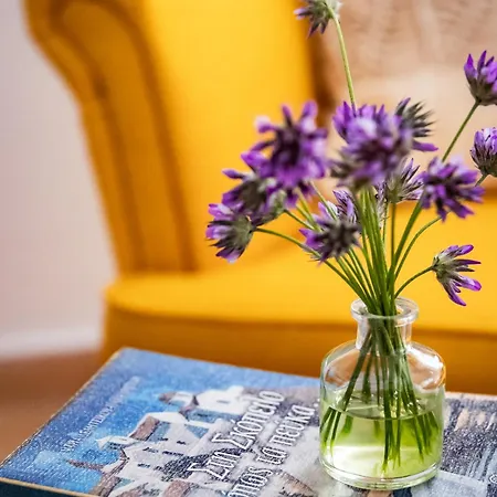 Tatil Evi Siraino - Ktima Skopelos