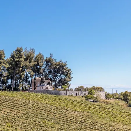 Tatil Evi Siraino - Ktima *