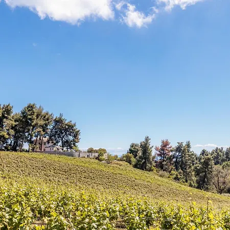 Tatil Evi Siraino - Ktima